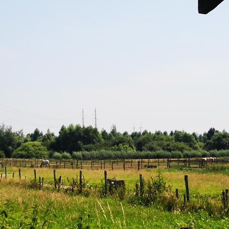 Ruime Romantische Blokhut Zwaanshoek Bagian luar foto