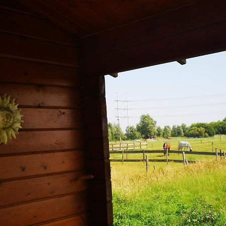 Ruime Romantische Blokhut Zwaanshoek Bagian luar foto