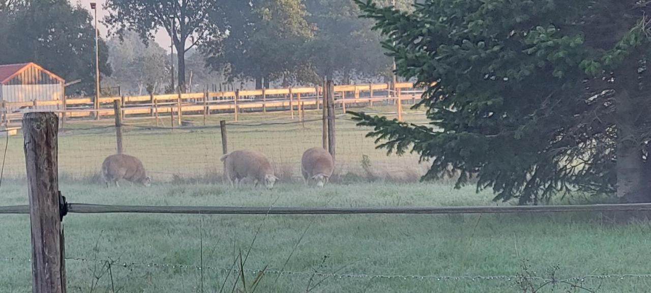 Ruime Romantische Blokhut Zwaanshoek Bagian luar foto
