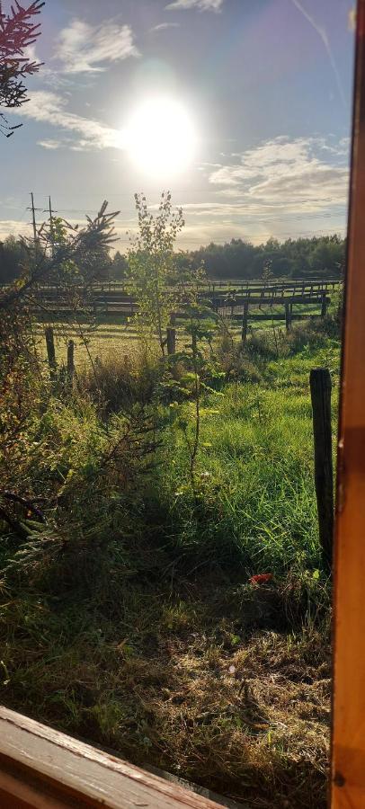 Ruime Romantische Blokhut Zwaanshoek Bagian luar foto